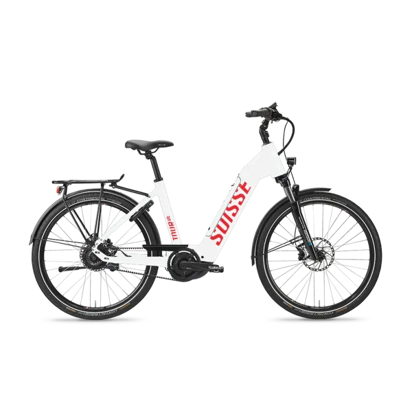 Comfort e-bike